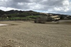 #19972 Terreni agricoli in parte edificabili di 101296 mq