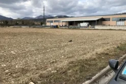 #19972 Terreni agricoli in parte edificabili di 101296 mq