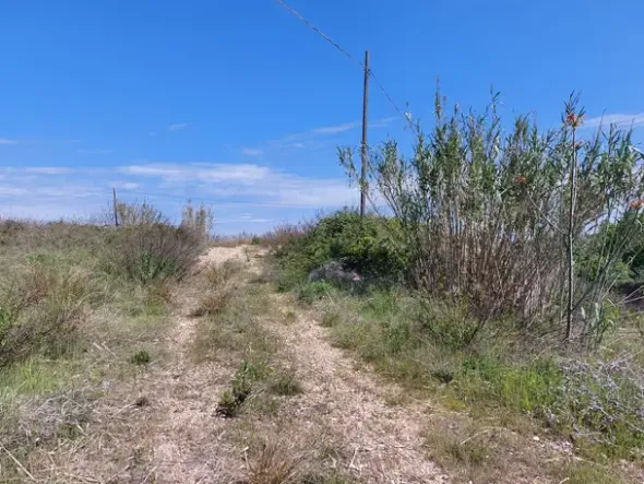 #20639 Terreno a cava di 17.220 mq