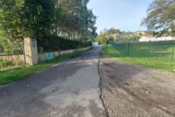 #19636 Terreno adibito a viabilità