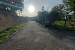 #19636 Terreno adibito a viabilità