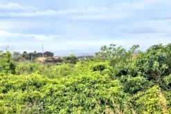 #2537093 Terreno agricolo