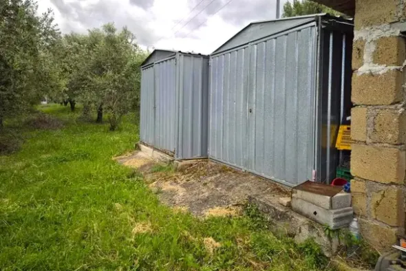 #24351 Terreno agricolo arborato in zona rurale