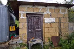 #24351 Terreno agricolo arborato in zona rurale