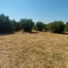 #24191 Terreno agricolo con porzione di viabilità