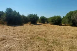 #24191 Terreno agricolo con porzione di viabilità
