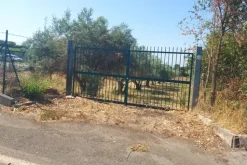 #24191 Terreno agricolo con porzione di viabilità