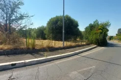 #24191 Terreno agricolo con porzione di viabilità