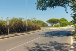 #24191 Terreno agricolo con porzione di viabilità