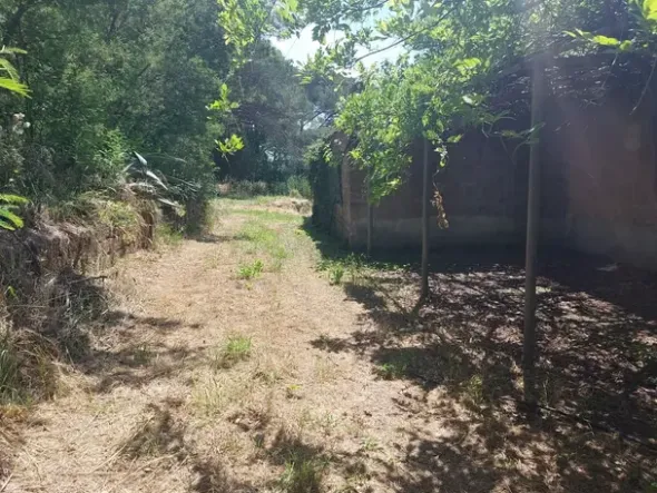 #2536080 Terreno agricolo di circa 29 ettari con fabbricati annessi