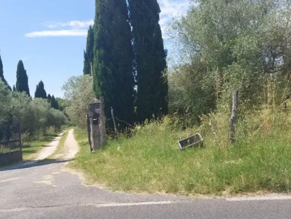 #2536080 Terreno agricolo di circa 29 ettari con fabbricati annessi