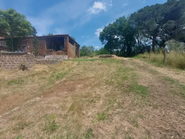 #2536080 Terreno agricolo di circa 29 ettari con fabbricati annessi