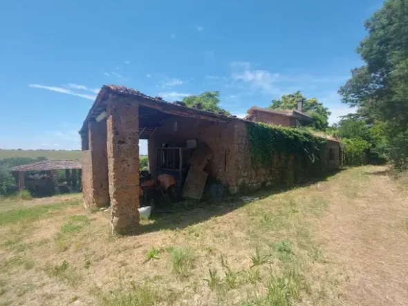 #2536080 Terreno agricolo di circa 29 ettari con fabbricati annessi