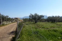 #25488 Terreno agricolo di 54.382 mq