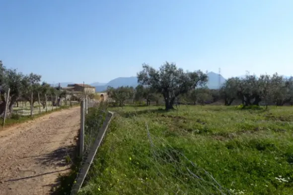 #25488 Terreno agricolo di 54.382 mq