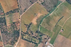 #25488 Terreno agricolo di 54.382 mq