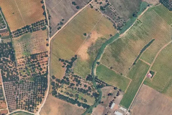 #25488 Terreno agricolo di 54.382 mq