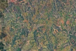 #25488 Terreno agricolo di 54.382 mq