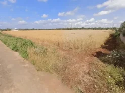 #23971 Terreno agricolo di 20.988 mq