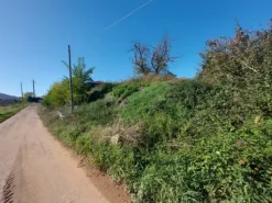 #2537296 Terreno agricolo di 3.640 mq