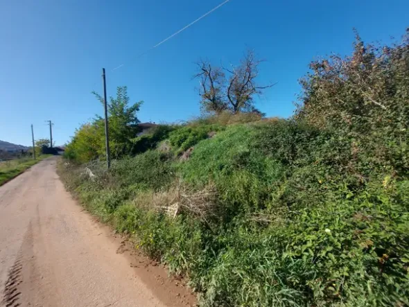 #2537296 Terreno agricolo di 3.640 mq