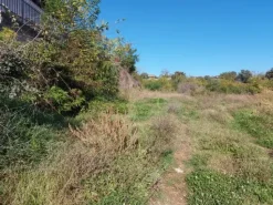 #2537296 Terreno agricolo di 3.640 mq