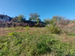 #2537296 Terreno agricolo di 3.640 mq