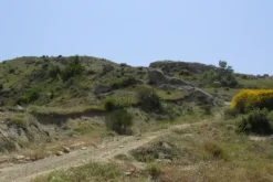 #9544 Terreno agricolo di 33.530 mq