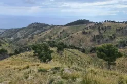 #18178 Terreno agricolo di 25.230 mq