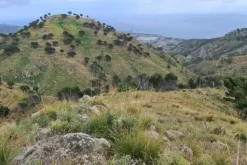 #18178 Terreno agricolo di 25.230 mq