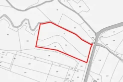 #19960 Terreno agricolo di 11169 mq