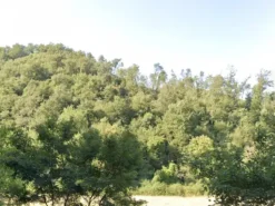#2537699 Terreno agricolo di 19.810 mq