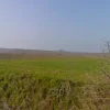 #4785 Terreno agricolo di 290.000 mq