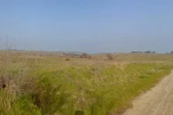 #4785 Terreno agricolo di 290.000 mq