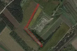 #4787 Terreno agricolo di 2.480 mq