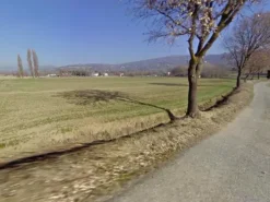 #24967 Terreno agricolo di 15.990 mq