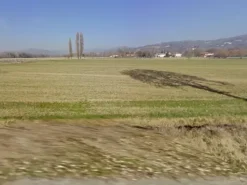 #24967 Terreno agricolo di 15.990 mq