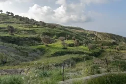 #18167 Terreno agricolo di 15.750 mq