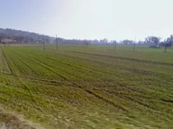 #24968 Terreno agricolo di 22.000 mq
