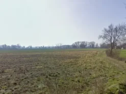 #24968 Terreno agricolo di 22.000 mq