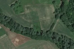 #21504 Terreno agricolo di 1710 mq