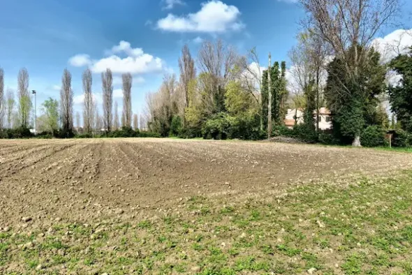 #23391 Terreno agricolo di 10.963 mq