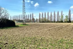 #23391 Terreno agricolo di 10.963 mq