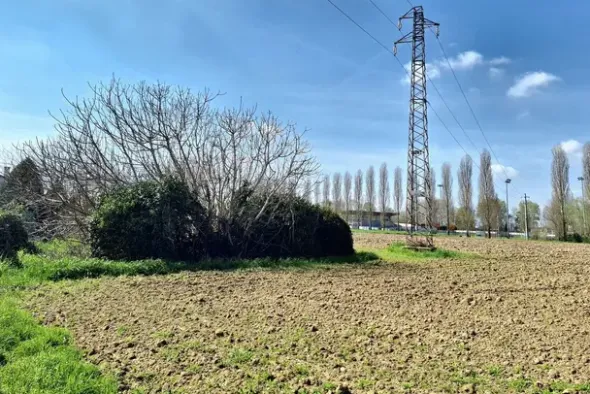 #23391 Terreno agricolo di 10.963 mq