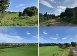 #21969 Terreno agricolo di 146000mq