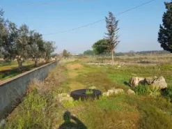 #23969 Terreno agricolo di 22.063 mq