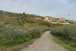 #21728 Terreno agricolo di 15.640 mq