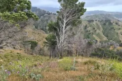 #18179 Terreno agricolo di 46.850 mq