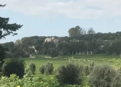 #21970 Terreno agricolo di 110577mq