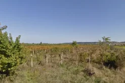 #4760 Terreno agricolo di 5.090 mq